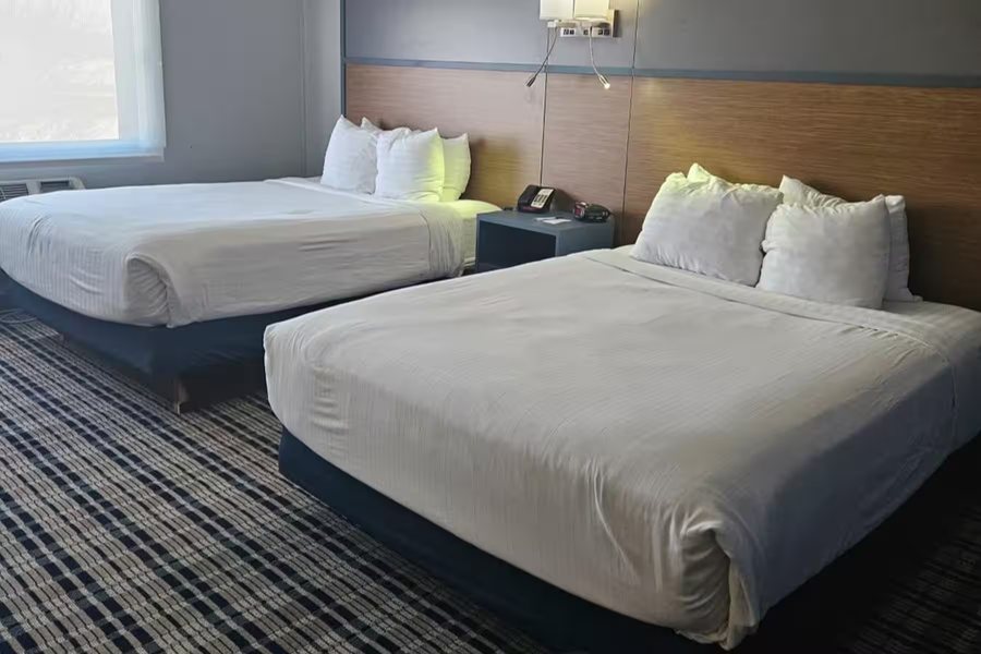 AmericInn by Wyndham Albert Lea — Guest room