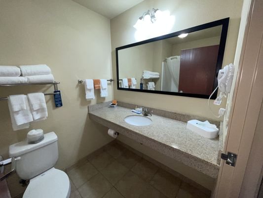 AmeriVu Inn Suites Grand Forks — Bathroom