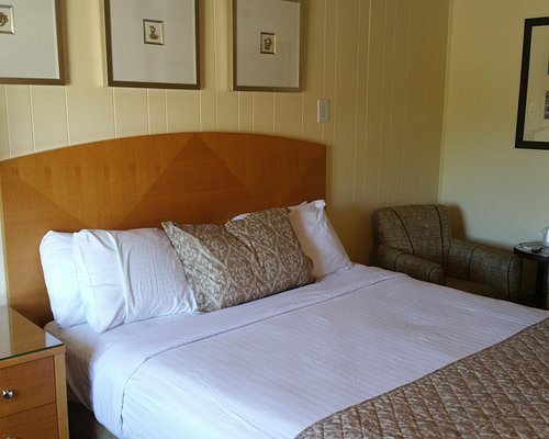 Amethyst Beach Motel — Guest room