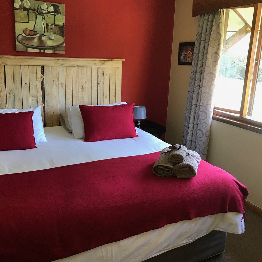 Andelomi Forest Lodge — Guest room