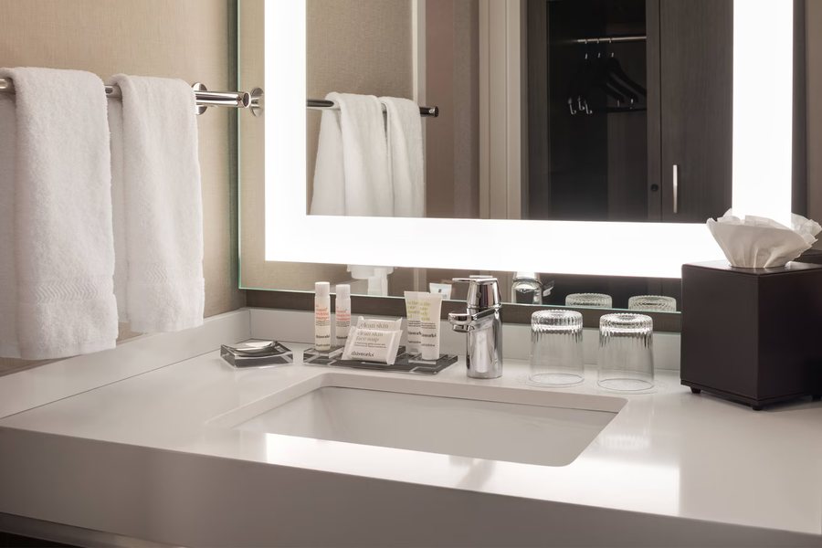 Ann Arbor Marriott Ypsilanti at Eagle Crest — Bathroom