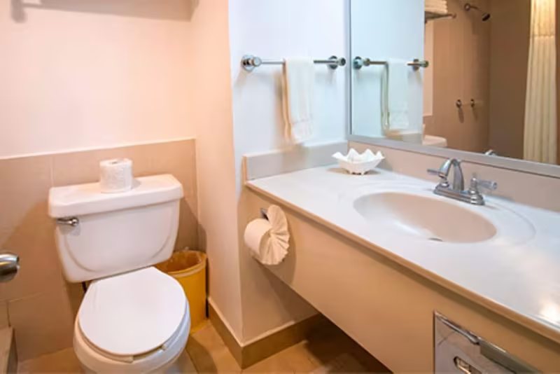 Araiza Palmira — Bathroom