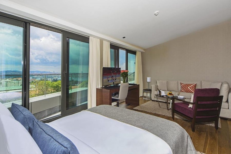 Arts Hotel Istanbul Istanbul — Guest room