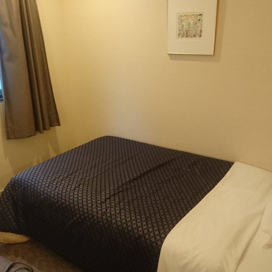 Asakusa Central Hotel — Guest room