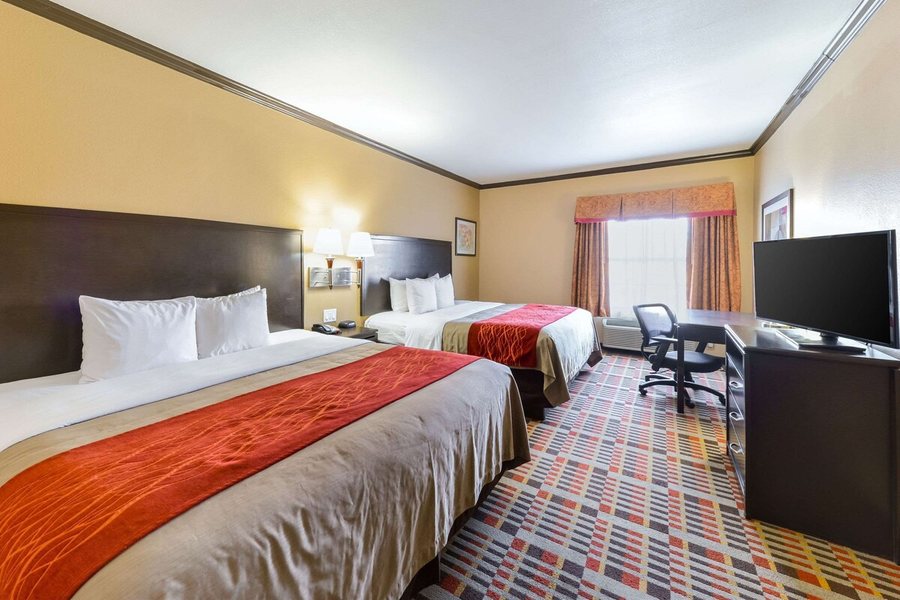 Ashmore Inn and Suites — Guest room