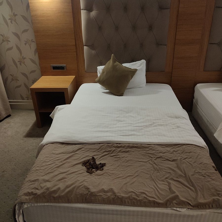 Asia Artemis Suite Istanbul — Guest room