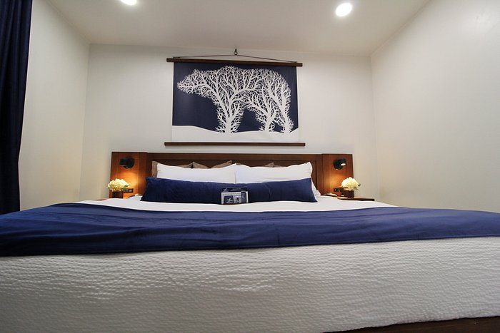 Aspen Springs Angel Fire Angel Fire New Mexico — Guest room