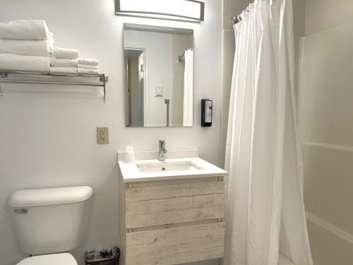 Atlantic Eyrie Lodge — Bathroom