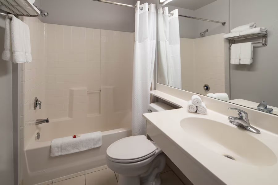 Atrium Suites Hotel Las Vegas Las Vegas Nevada — Bathroom