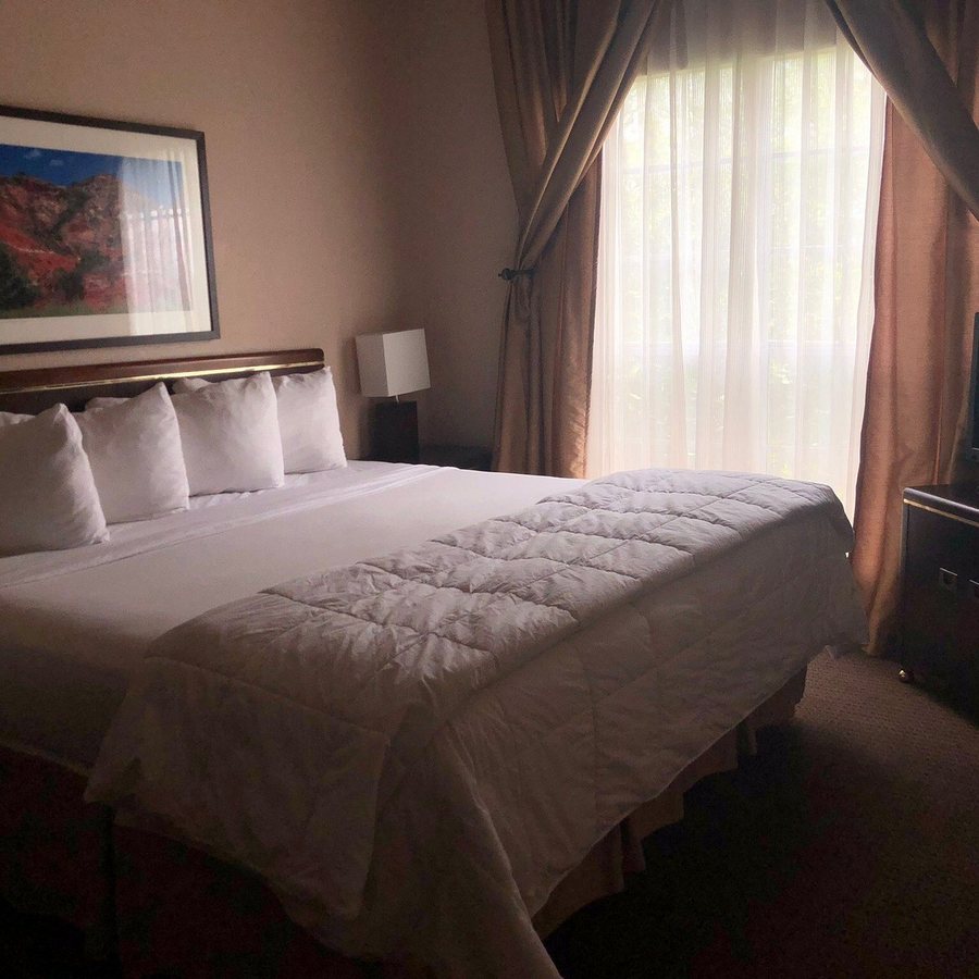 AVIA Sanctuary at Highland Mall — Guest room