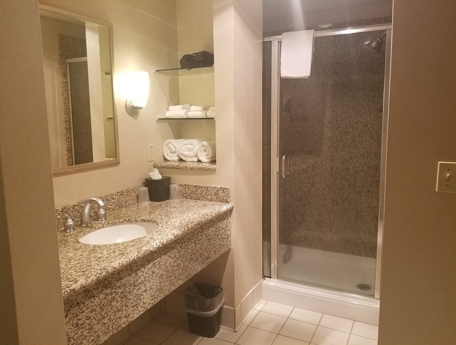 Avid Hotels Milwaukee West Waukesha by IHG — Bathroom