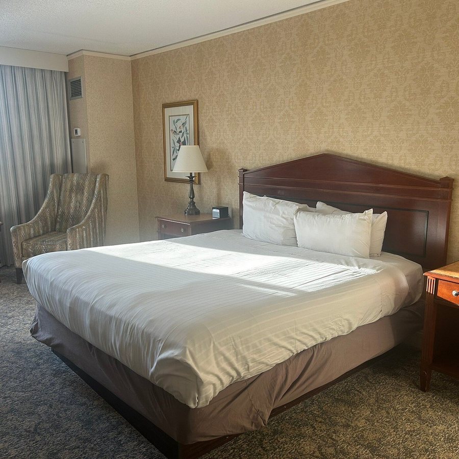 Bally s Dover — Guest room