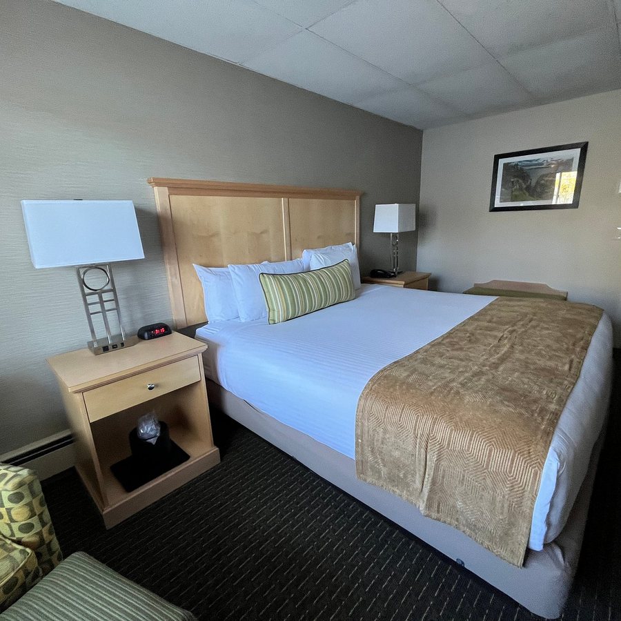 Bar Harbor Villager Motel — Guest room