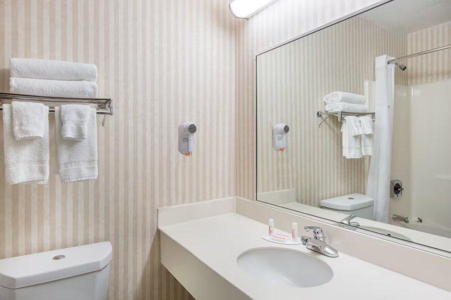 BarDew Valley Inn — Bathroom