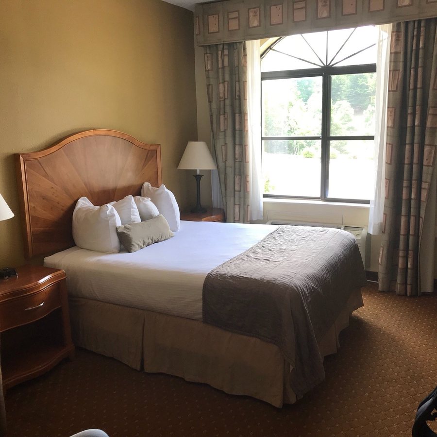 Baymont by Wyndham Asheville Biltmore — Guest room