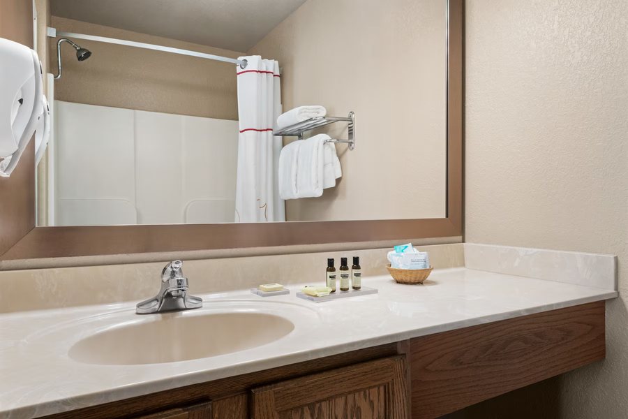 Baymont by Wyndham Decatur — Bathroom