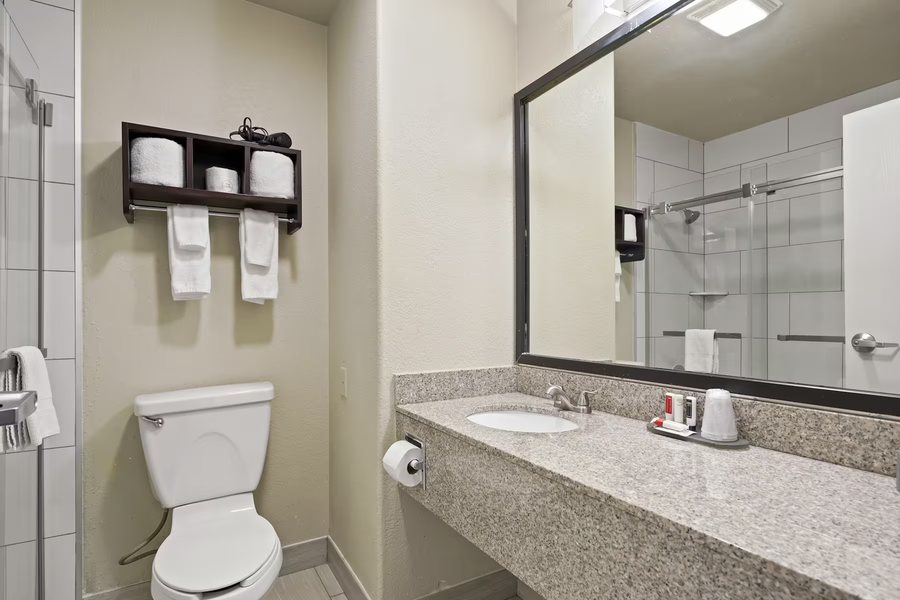 Baymont by Wyndham Denver International Airport — Bathroom