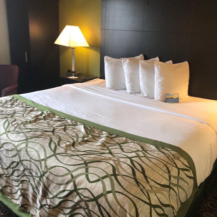 Baymont by Wyndham Holland — Guest room