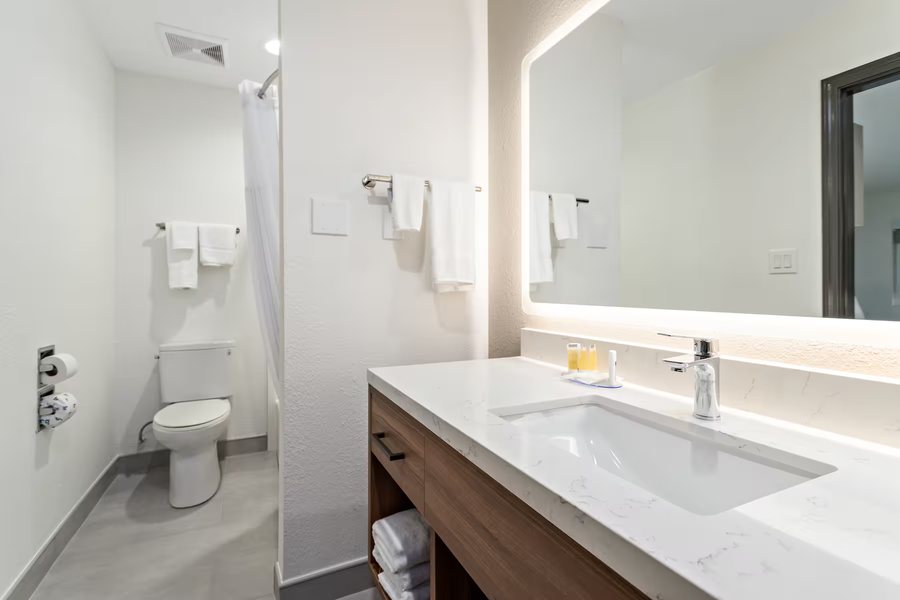 Baymont by Wyndham Houston Brookhollow — Bathroom