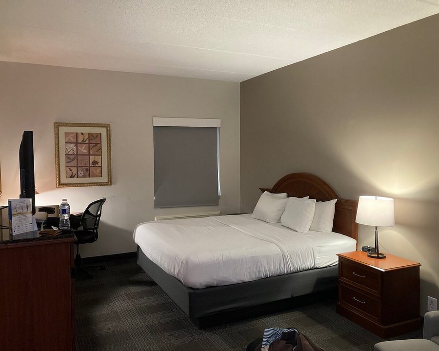 Baymont by Wyndham Knoxville Cedar Bluff — Guest room