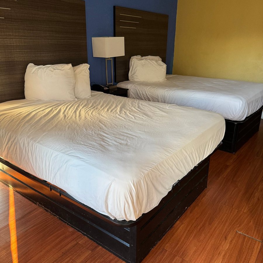 Baymont by Wyndham Macon I 75 — Guest room
