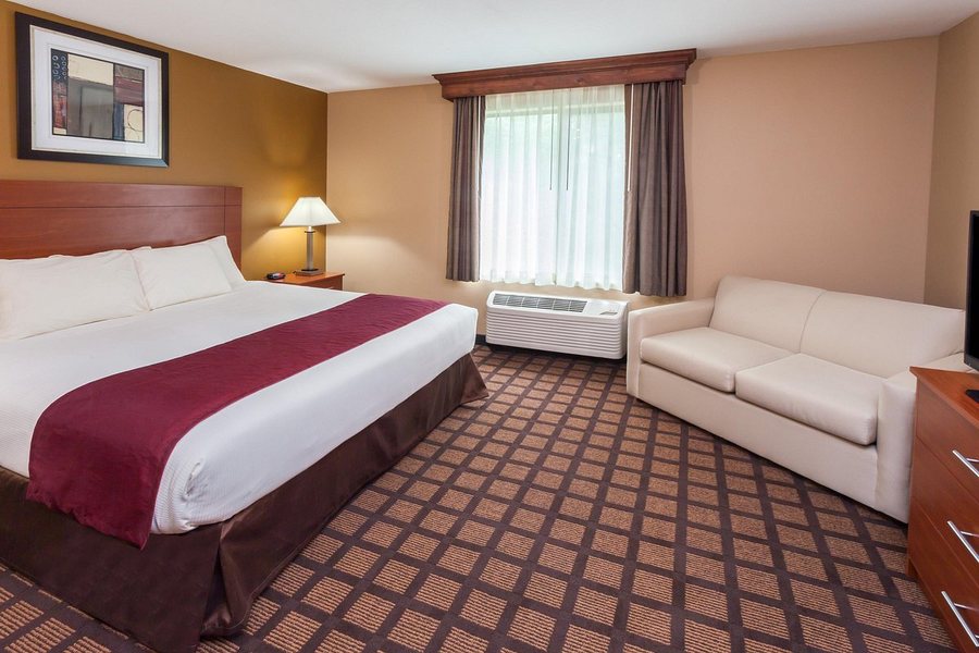 Baymont by Wyndham New Buffalo — Guest room