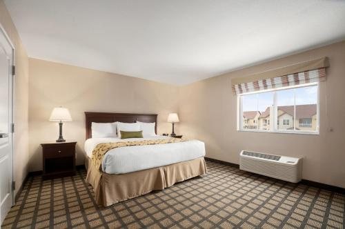 Baymont by Wyndham Odessa — Guest room