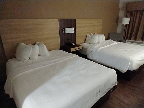 Baymont by Wyndham Santee — Guest room