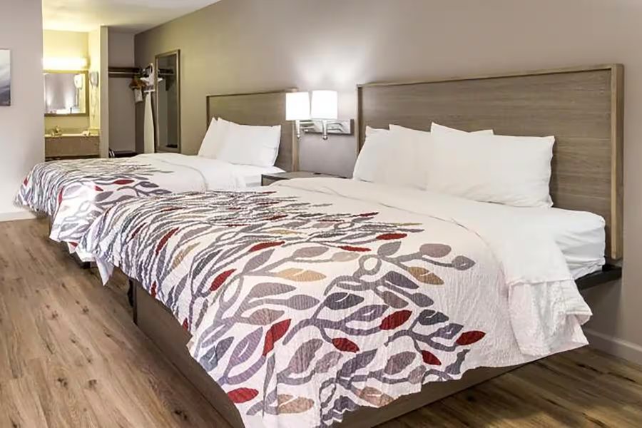 Baymont by Wyndham Socorro — Guest room
