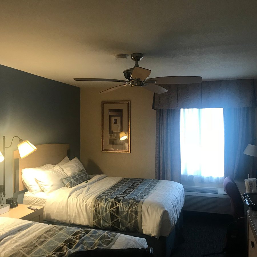 Baymont by Wyndham Stevens Point — Guest room