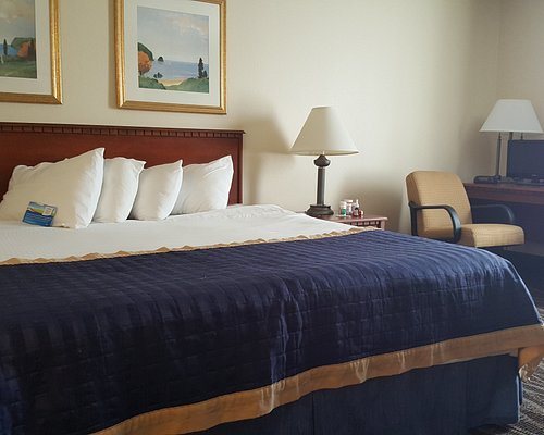 Baymont I S Longview — Guest room