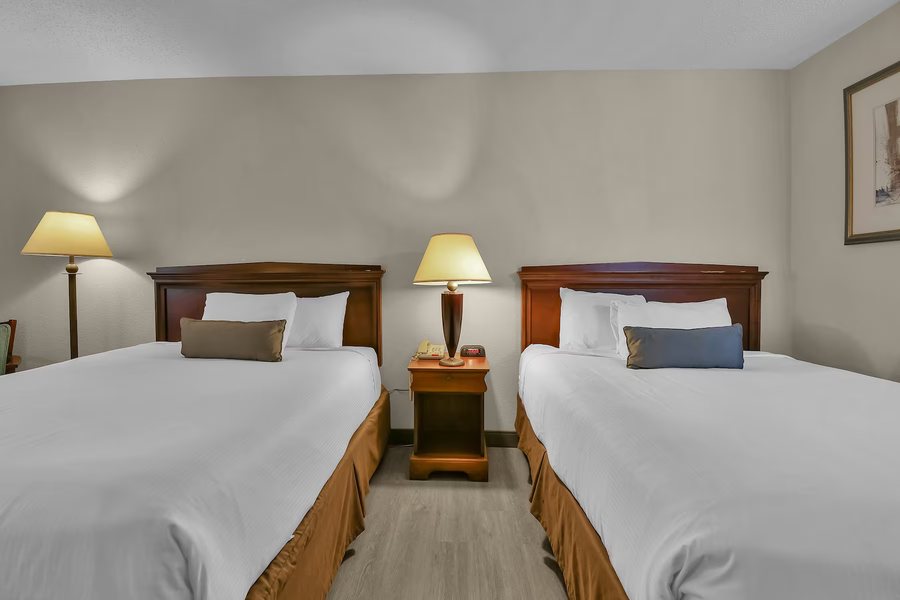 Baymont I S Zanesville — Guest room