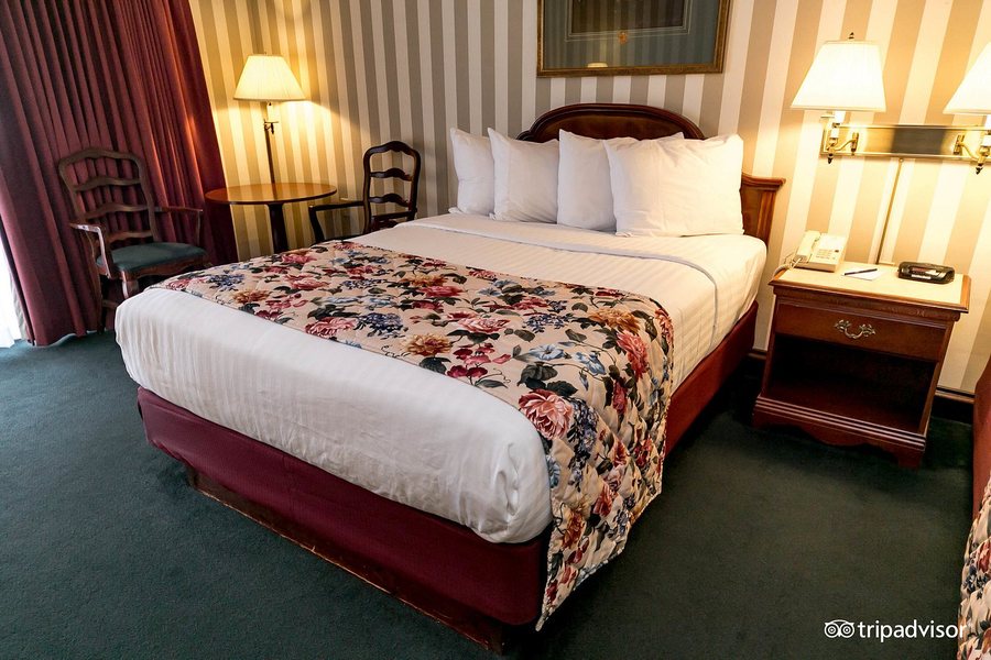 Bayshore Resort — Guest room