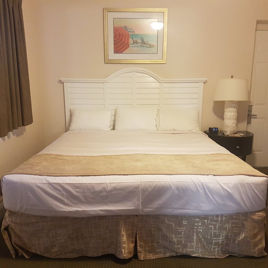 Beach Plaza Hotel Miami Beach Florida — Guest room