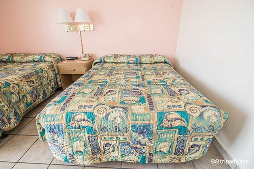 Beach Terrace Motor Inn — Guest room