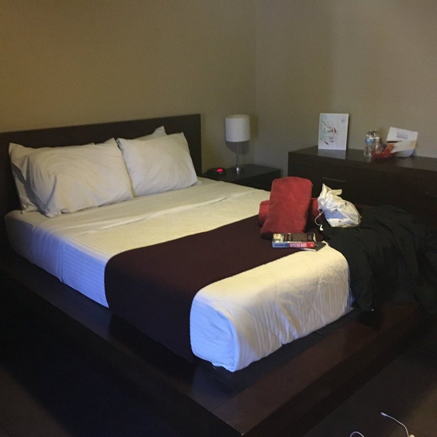 Bearfoot Inn — Guest room