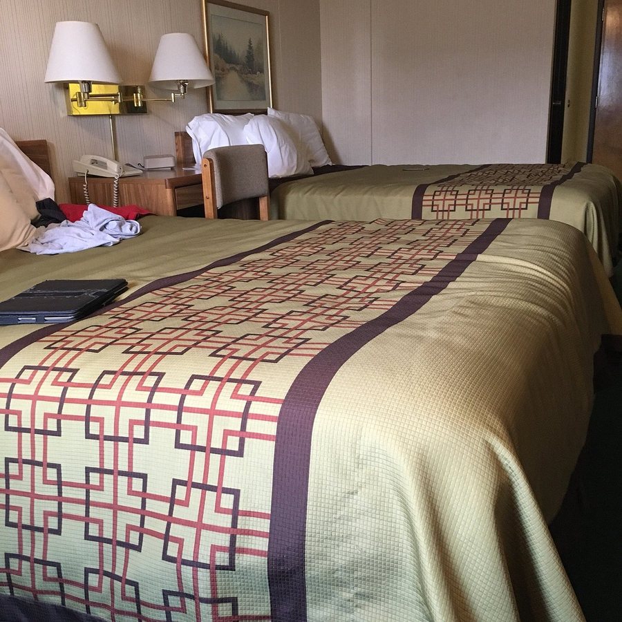 Beartooth Inn — Guest room