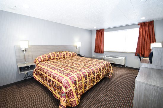 Belcaro Motel — Guest room