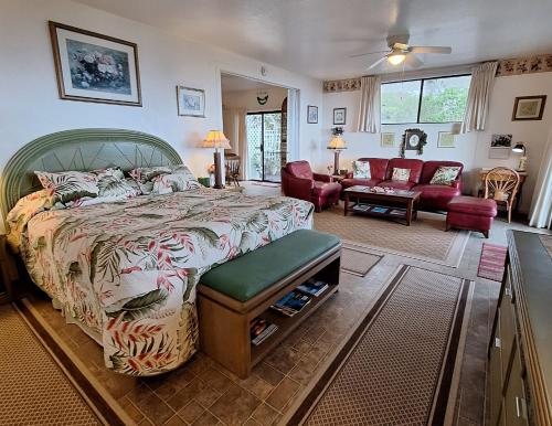 Belle Vue Kona B B — Guest room