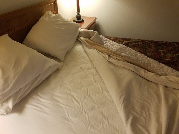 Bellis Inn — Guest room