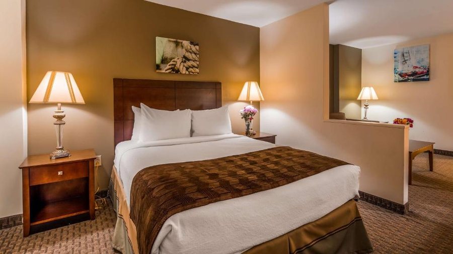 Best Western Adams Inn Quincy Boston — Guest room