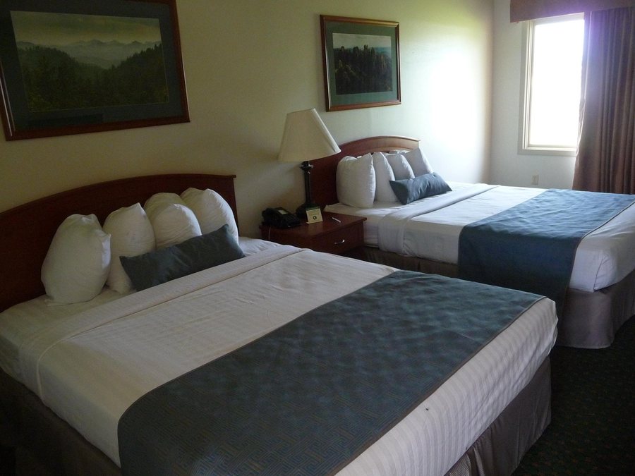 Best Western Buffalo Ridge Inn — Guest room
