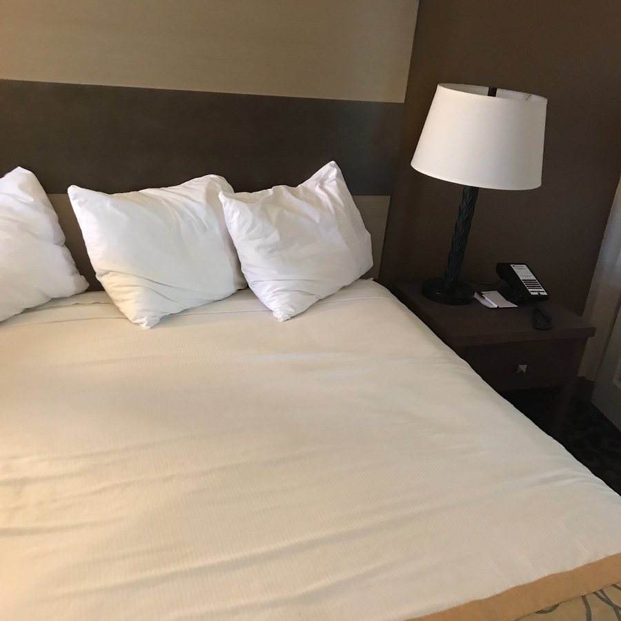Best Western Butch Cassidy Inn — Guest room