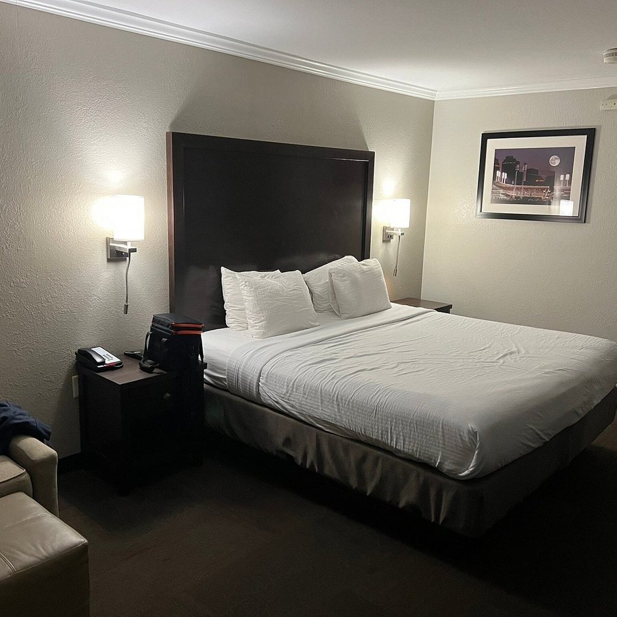 Best Western Clermont — Guest room