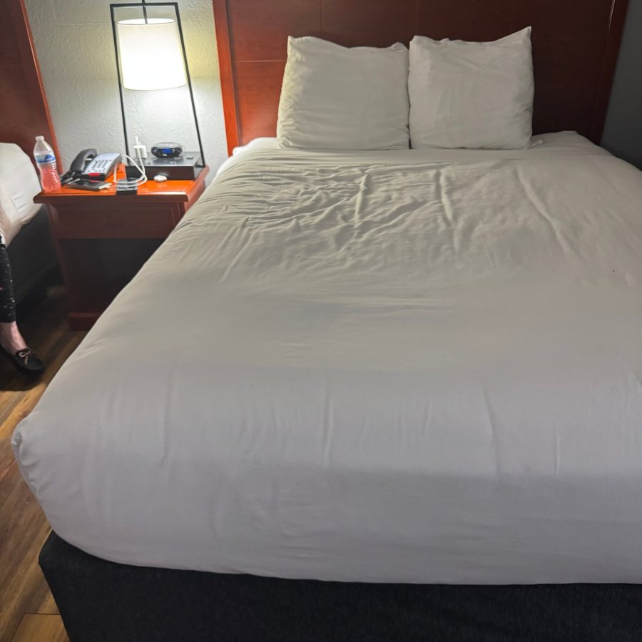 Best Western Corbin Inn — Guest room