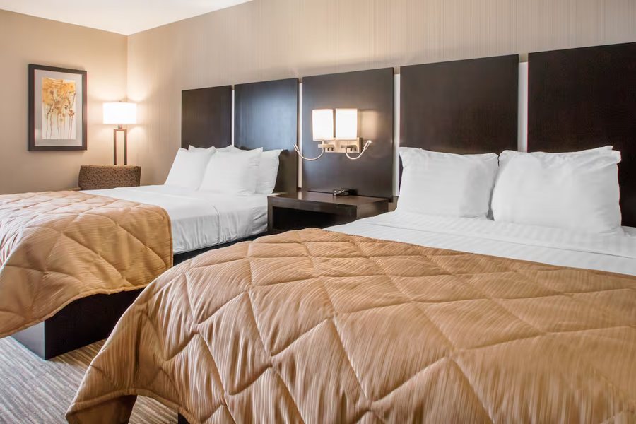 Best Western Courtview Hotel — Guest room