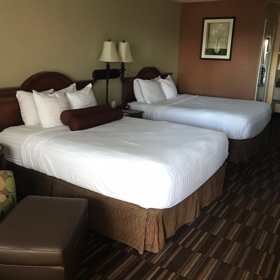 Best Western Desert Winds — Guest room