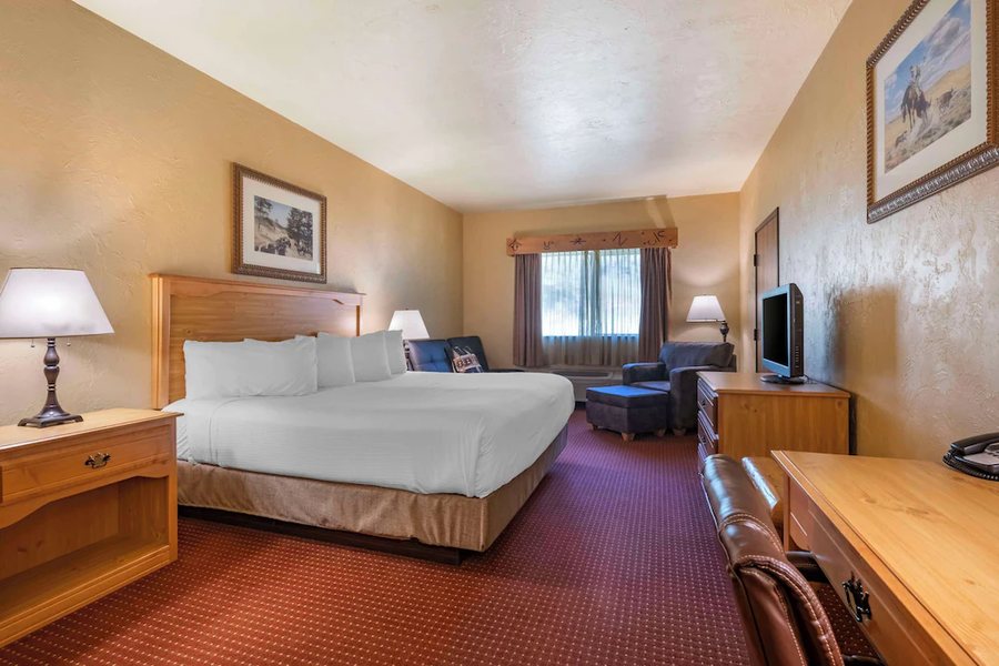 Best Western Devils Tower Inn — Guest room