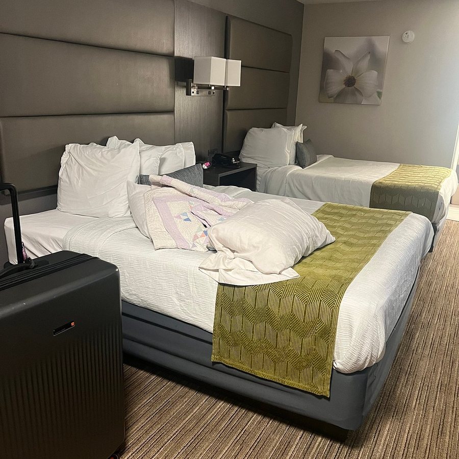 Best Western Dickson — Guest room