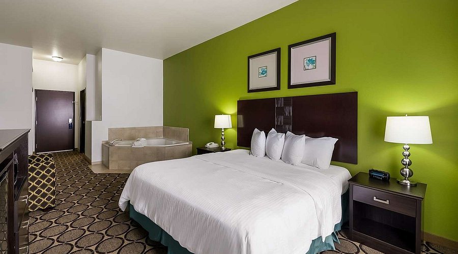Best Western Douglas Inn Suites — Guest room